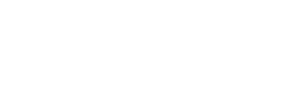 Race Meeting Portugal